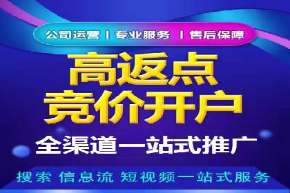 成功SEM代理案例：精准投放的策略